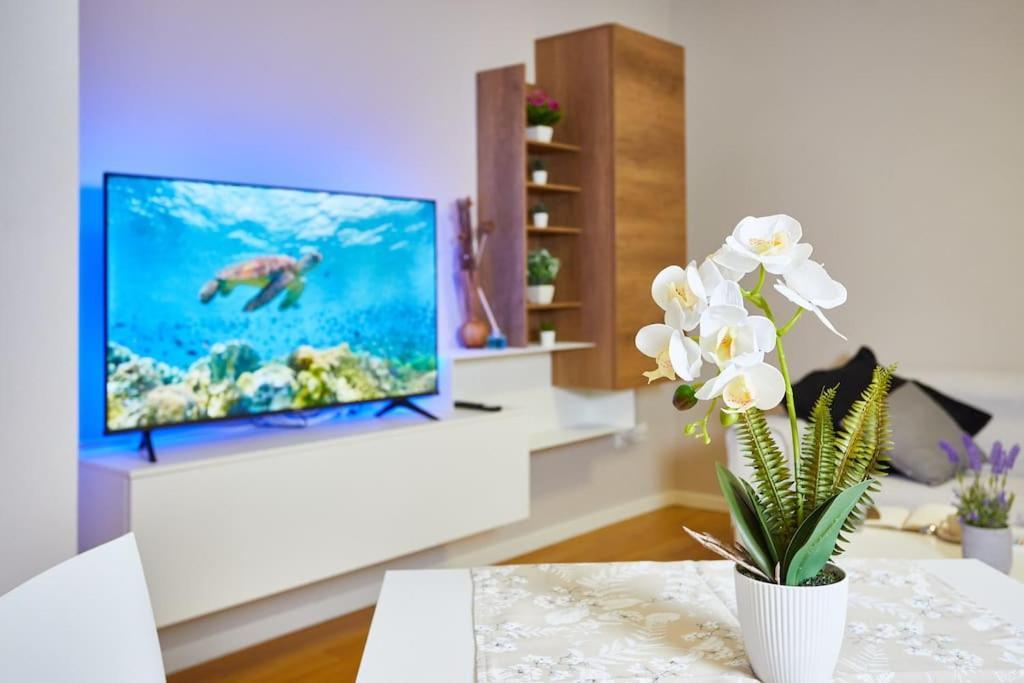 Center Aviano Comfort Suite Free Parking Wifi Ngoại thất bức ảnh